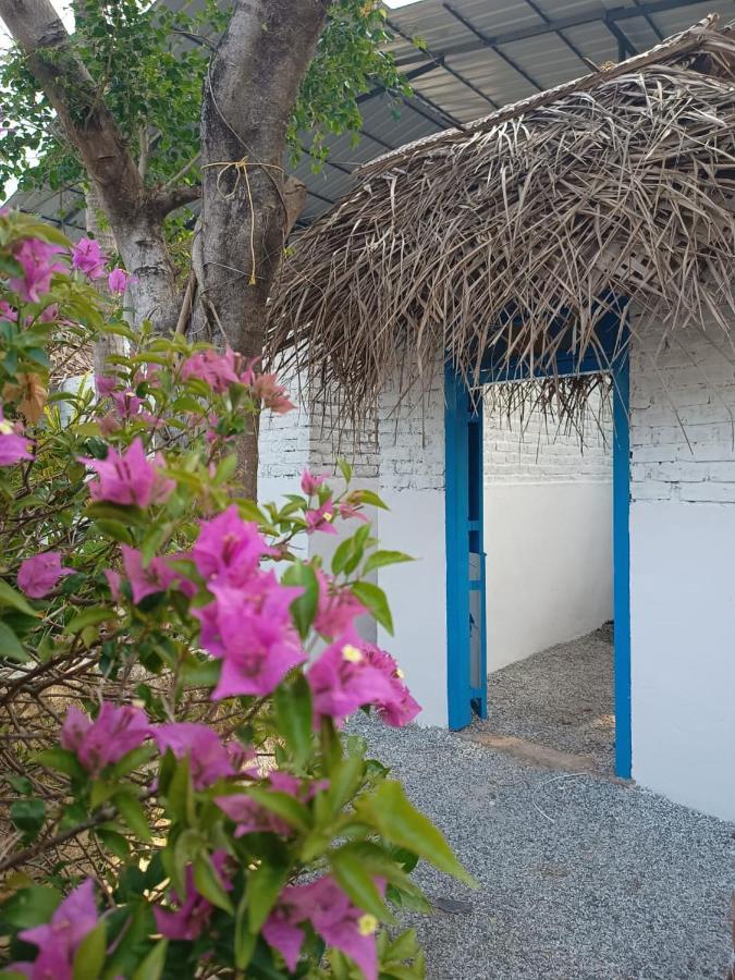 Hostel Calaila Varkala Ngoại thất bức ảnh